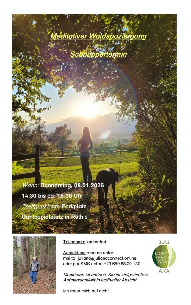 Meditativer Waldspaziergang 2026